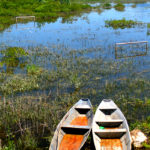 El lago Skadar