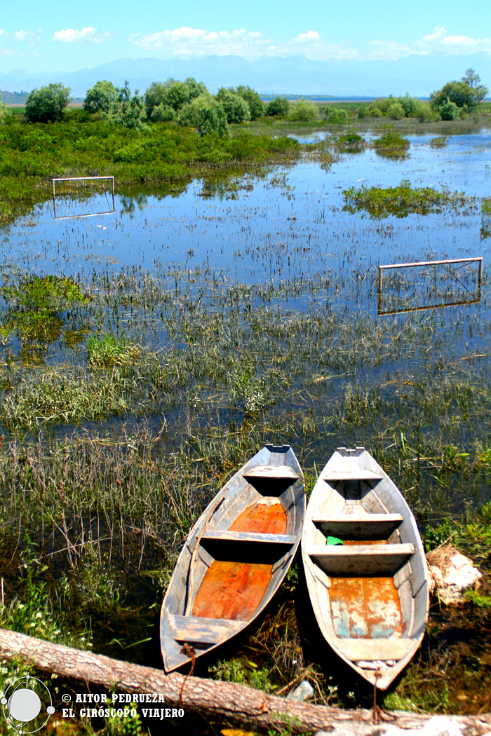 El lago Skadar