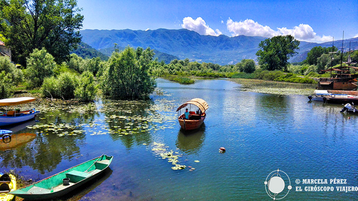 Excursiones en barco en el lago Skadar